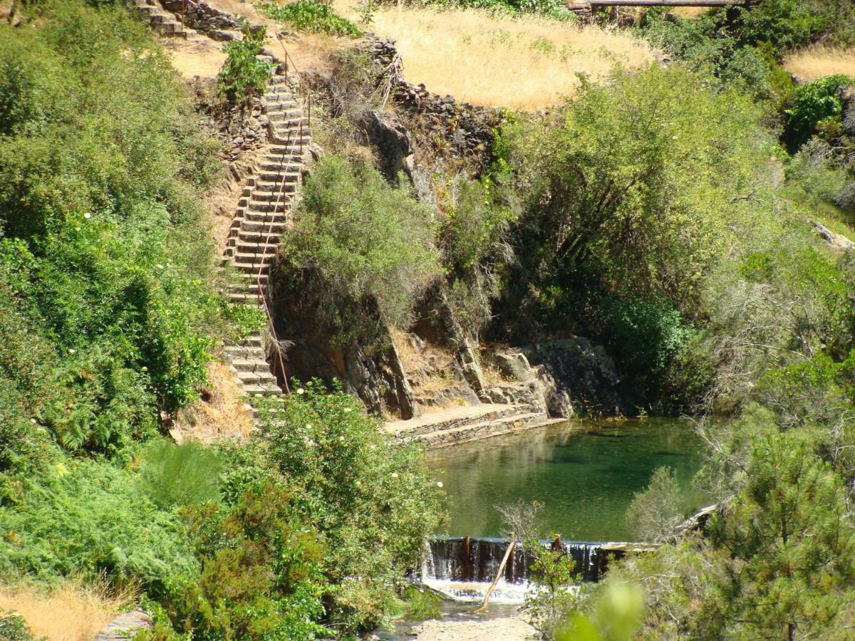 בית הארחה Cha de Alvares 	A Casa Da Natalia מראה חיצוני תמונה